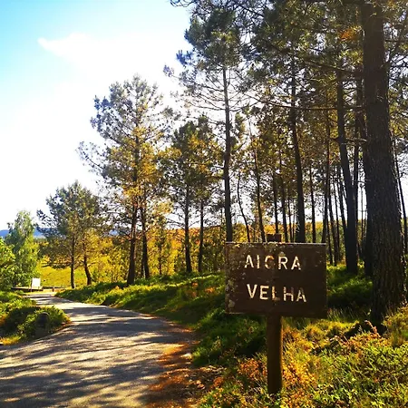 Em Xisto - Casas De Montanha - Casa T1 Vila Góis